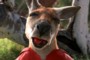 Avatar du membre