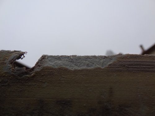 DSC09877BIS2.jpg