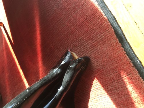 detail pied.JPG