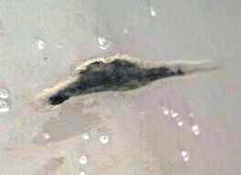 20120704_130314-1-1.jpg