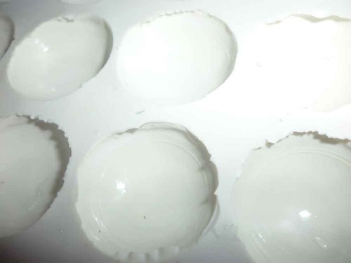 P1050054.JPG (32.03 Kio) Vu 11541 fois moule après quelques tournées de résine, on voit bien au moins deux démarcations